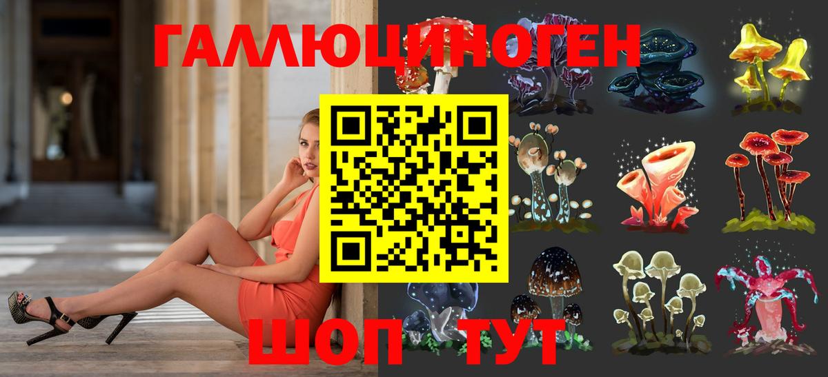 Галлюциногенные грибы Psilocybine cubensis  цены наркотик  Куйбышев  Псилоцибиновые грибы Psilocybine cubensis  Вход с VPN 